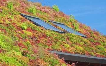 Thomas Close living roof systems