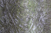 Thomas Close fibreglass roof work